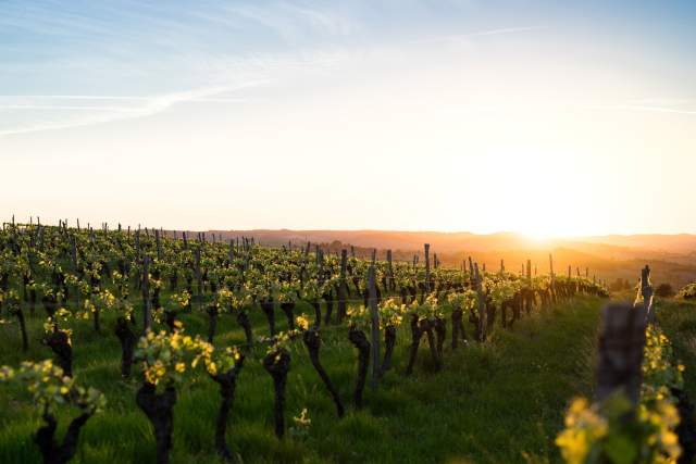 Visiter Dijon et ses alentours, Maison Philippe Le Bon en Bourgogne